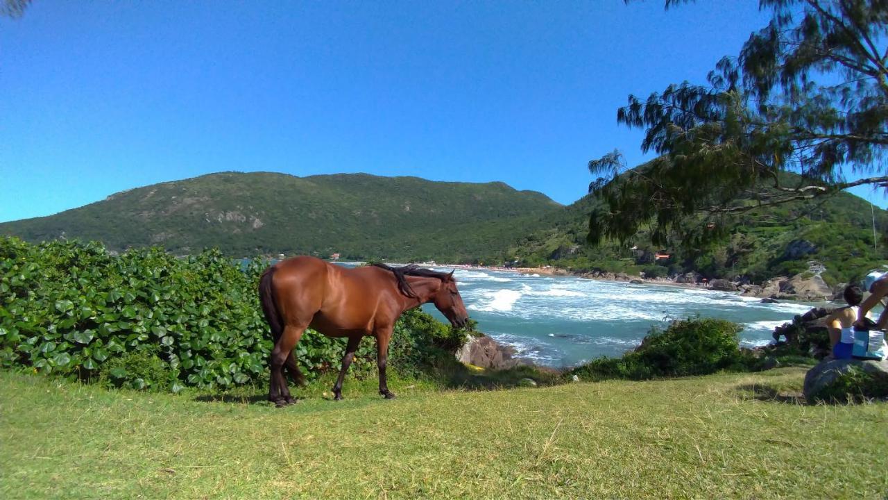 Chale Praia Da Armacao Florianopolis Ngoại thất bức ảnh